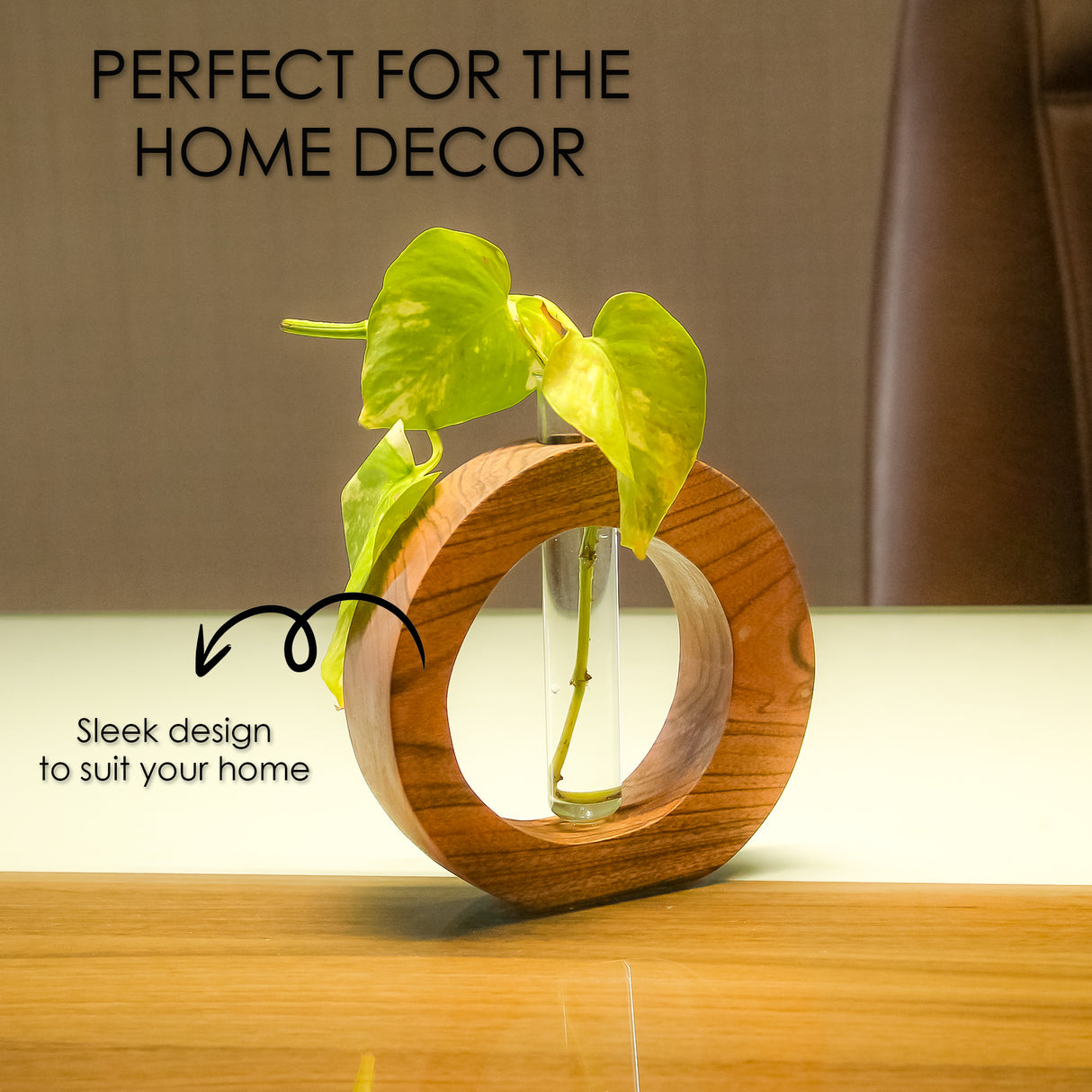 Wooden Planter with Glass Tube for Small Indoor Plants and Home Decor