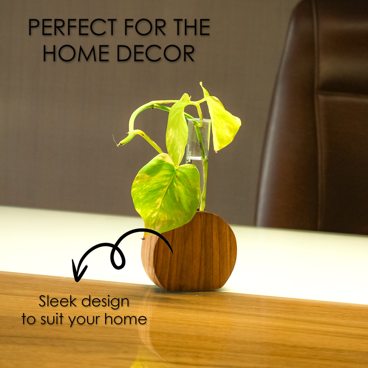 Handcrafted Wooden Display Planter, Eco-Friendly Glass Tube for Indoor and Outdoor