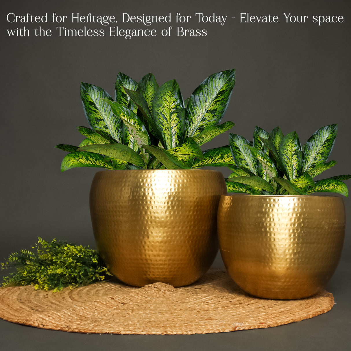 Set of 2 Brass Hammered Planters – Elegant Decorative Pots for Indoor and Outdoor Use