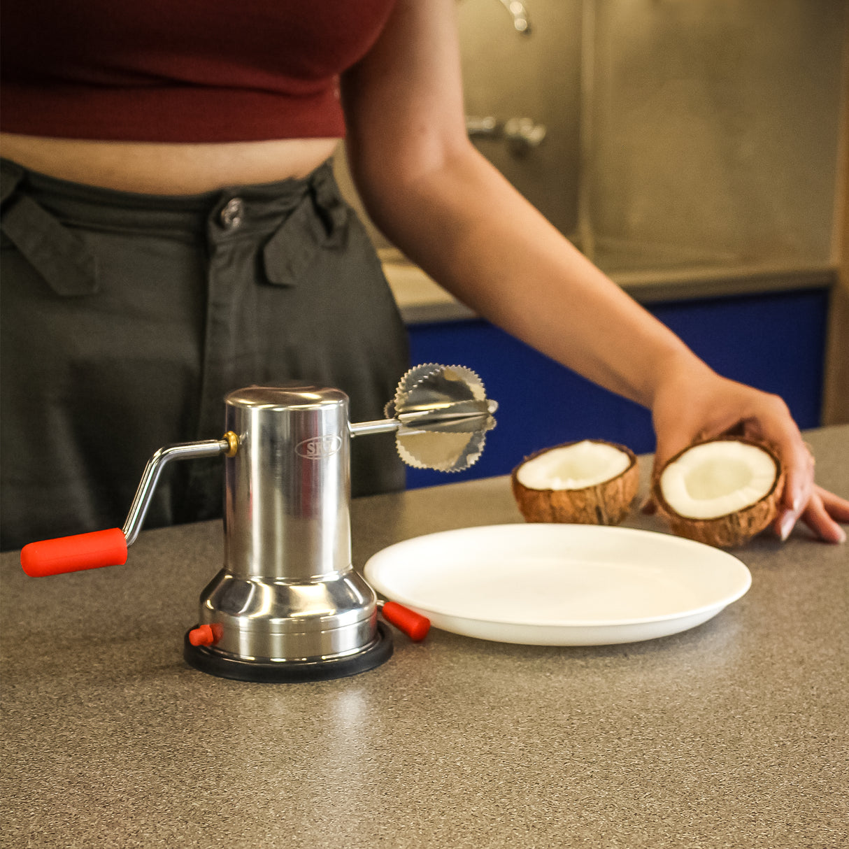 Free Interchangeable Blade Included – Stainless Steel Coconut Scraper for Kitchen – Manual Shredder with Rotatable Handle, Vacuum Base, Easy Operation, Durable Silver Tool