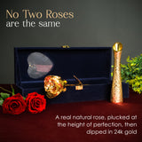 Gold Rose Vase with Velvet Box