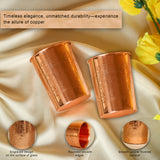 Premium Copper Glass Set