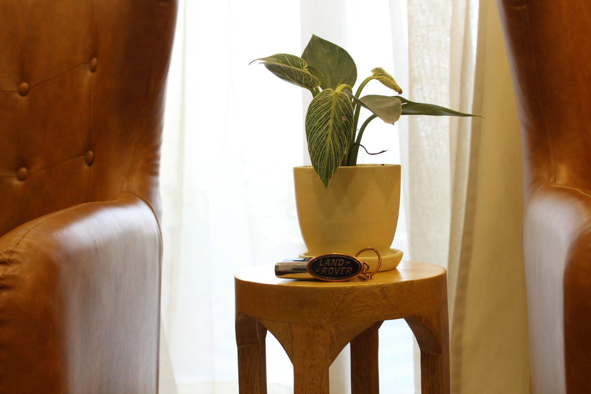 Wooden Display Table with Wooden Planter Combo for Elegant Home Styling